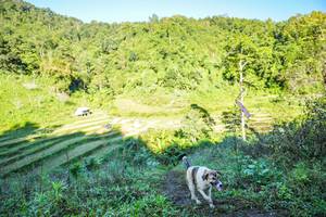 BIB: 
                            <button type="button" onclick="openModal(19348625)" class="btn btn-primary btn-sm float-right btn-popup" data-toggle="modal" data-target=".modal-high-quality">
                        <i class="fas fa-shopping-cart"></i> Add to Cart
                    </button>
                                            <button type="button" onclick="isThisMe(19348625, true)" class="btn btn-success btn-sm float-right btn-popup btn-isme hidden" data-toggle="tooltip" data-placement="bottom" title="นี่คือรูปของคุณใช่ไหม คลิกที่นี่เพื่อเอาเข้าอัลบั้ม">
                        <i class="fas fa-plus"></i> Add to album
                    </button>
                    <button type="button" onclick="isThisMe(19348625, false)" class="btn btn-warning btn-sm float-right btn-popup btn-isnotme hidden">
                        <i class="fas fa-ban"></i> Remove from album
                    </button>