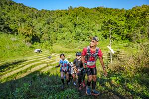 BIB: 2047
                            <button type="button" onclick="openModal(19349900)" class="btn btn-primary btn-sm float-right btn-popup" data-toggle="modal" data-target=".modal-high-quality">
                        <i class="fas fa-shopping-cart"></i> Add to Cart
                    </button>
                                            <button type="button" onclick="isThisMe(19349900, true)" class="btn btn-success btn-sm float-right btn-popup btn-isme hidden" data-toggle="tooltip" data-placement="bottom" title="นี่คือรูปของคุณใช่ไหม คลิกที่นี่เพื่อเอาเข้าอัลบั้ม">
                        <i class="fas fa-plus"></i> Add to album
                    </button>
                    <button type="button" onclick="isThisMe(19349900, false)" class="btn btn-warning btn-sm float-right btn-popup btn-isnotme hidden">
                        <i class="fas fa-ban"></i> Remove from album
                    </button>