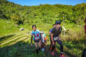 BIB: 
                            <button type="button" onclick="openModal(19349906)" class="btn btn-primary btn-sm float-right btn-popup" data-toggle="modal" data-target=".modal-high-quality">
                        <i class="fas fa-shopping-cart"></i> Add to Cart
                    </button>
                                            <button type="button" onclick="isThisMe(19349906, true)" class="btn btn-success btn-sm float-right btn-popup btn-isme hidden" data-toggle="tooltip" data-placement="bottom" title="นี่คือรูปของคุณใช่ไหม คลิกที่นี่เพื่อเอาเข้าอัลบั้ม">
                        <i class="fas fa-plus"></i> Add to album
                    </button>
                    <button type="button" onclick="isThisMe(19349906, false)" class="btn btn-warning btn-sm float-right btn-popup btn-isnotme hidden">
                        <i class="fas fa-ban"></i> Remove from album
                    </button>