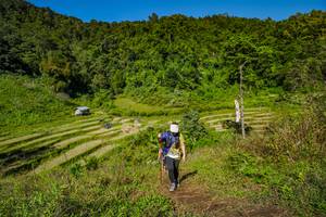 BIB: 
                            <button type="button" onclick="openModal(19344425)" class="btn btn-primary btn-sm float-right btn-popup" data-toggle="modal" data-target=".modal-high-quality">
                        <i class="fas fa-shopping-cart"></i> Add to Cart
                    </button>
                                            <button type="button" onclick="isThisMe(19344425, true)" class="btn btn-success btn-sm float-right btn-popup btn-isme hidden" data-toggle="tooltip" data-placement="bottom" title="นี่คือรูปของคุณใช่ไหม คลิกที่นี่เพื่อเอาเข้าอัลบั้ม">
                        <i class="fas fa-plus"></i> Add to album
                    </button>
                    <button type="button" onclick="isThisMe(19344425, false)" class="btn btn-warning btn-sm float-right btn-popup btn-isnotme hidden">
                        <i class="fas fa-ban"></i> Remove from album
                    </button>