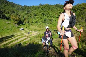 BIB: 
                            <button type="button" onclick="openModal(19096658)" class="btn btn-primary btn-sm float-right btn-popup" data-toggle="modal" data-target=".modal-high-quality">
                        <i class="fas fa-shopping-cart"></i> Add to Cart
                    </button>
                                            <button type="button" onclick="isThisMe(19096658, true)" class="btn btn-success btn-sm float-right btn-popup btn-isme hidden" data-toggle="tooltip" data-placement="bottom" title="นี่คือรูปของคุณใช่ไหม คลิกที่นี่เพื่อเอาเข้าอัลบั้ม">
                        <i class="fas fa-plus"></i> Add to album
                    </button>
                    <button type="button" onclick="isThisMe(19096658, false)" class="btn btn-warning btn-sm float-right btn-popup btn-isnotme hidden">
                        <i class="fas fa-ban"></i> Remove from album
                    </button>