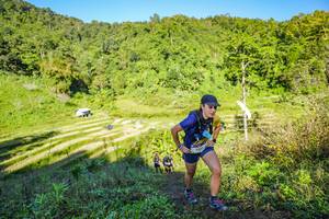 BIB: 
                            <button type="button" onclick="openModal(19349571)" class="btn btn-primary btn-sm float-right btn-popup" data-toggle="modal" data-target=".modal-high-quality">
                        <i class="fas fa-shopping-cart"></i> Add to Cart
                    </button>
                                            <button type="button" onclick="isThisMe(19349571, true)" class="btn btn-success btn-sm float-right btn-popup btn-isme hidden" data-toggle="tooltip" data-placement="bottom" title="นี่คือรูปของคุณใช่ไหม คลิกที่นี่เพื่อเอาเข้าอัลบั้ม">
                        <i class="fas fa-plus"></i> Add to album
                    </button>
                    <button type="button" onclick="isThisMe(19349571, false)" class="btn btn-warning btn-sm float-right btn-popup btn-isnotme hidden">
                        <i class="fas fa-ban"></i> Remove from album
                    </button>