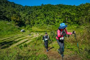 BIB: 
                            <button type="button" onclick="openModal(19344606)" class="btn btn-primary btn-sm float-right btn-popup" data-toggle="modal" data-target=".modal-high-quality">
                        <i class="fas fa-shopping-cart"></i> Add to Cart
                    </button>
                                            <button type="button" onclick="isThisMe(19344606, true)" class="btn btn-success btn-sm float-right btn-popup btn-isme hidden" data-toggle="tooltip" data-placement="bottom" title="นี่คือรูปของคุณใช่ไหม คลิกที่นี่เพื่อเอาเข้าอัลบั้ม">
                        <i class="fas fa-plus"></i> Add to album
                    </button>
                    <button type="button" onclick="isThisMe(19344606, false)" class="btn btn-warning btn-sm float-right btn-popup btn-isnotme hidden">
                        <i class="fas fa-ban"></i> Remove from album
                    </button>