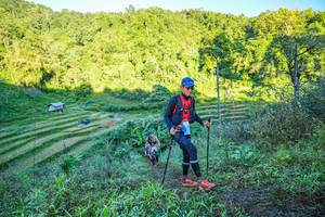 BIB: 
                            <button type="button" onclick="openModal(19347165)" class="btn btn-primary btn-sm float-right btn-popup" data-toggle="modal" data-target=".modal-high-quality">
                        <i class="fas fa-shopping-cart"></i> Add to Cart
                    </button>
                                            <button type="button" onclick="isThisMe(19347165, true)" class="btn btn-success btn-sm float-right btn-popup btn-isme hidden" data-toggle="tooltip" data-placement="bottom" title="นี่คือรูปของคุณใช่ไหม คลิกที่นี่เพื่อเอาเข้าอัลบั้ม">
                        <i class="fas fa-plus"></i> Add to album
                    </button>
                    <button type="button" onclick="isThisMe(19347165, false)" class="btn btn-warning btn-sm float-right btn-popup btn-isnotme hidden">
                        <i class="fas fa-ban"></i> Remove from album
                    </button>