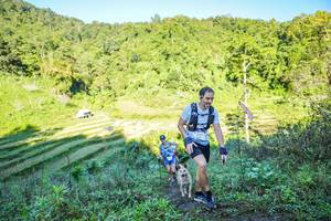 BIB: 
                            <button type="button" onclick="openModal(19348640)" class="btn btn-primary btn-sm float-right btn-popup" data-toggle="modal" data-target=".modal-high-quality">
                        <i class="fas fa-shopping-cart"></i> Add to Cart
                    </button>
                                            <button type="button" onclick="isThisMe(19348640, true)" class="btn btn-success btn-sm float-right btn-popup btn-isme hidden" data-toggle="tooltip" data-placement="bottom" title="นี่คือรูปของคุณใช่ไหม คลิกที่นี่เพื่อเอาเข้าอัลบั้ม">
                        <i class="fas fa-plus"></i> Add to album
                    </button>
                    <button type="button" onclick="isThisMe(19348640, false)" class="btn btn-warning btn-sm float-right btn-popup btn-isnotme hidden">
                        <i class="fas fa-ban"></i> Remove from album
                    </button>