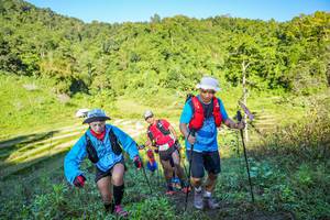 BIB: 
                            <button type="button" onclick="openModal(19349230)" class="btn btn-primary btn-sm float-right btn-popup" data-toggle="modal" data-target=".modal-high-quality">
                        <i class="fas fa-shopping-cart"></i> Add to Cart
                    </button>
                                            <button type="button" onclick="isThisMe(19349230, true)" class="btn btn-success btn-sm float-right btn-popup btn-isme hidden" data-toggle="tooltip" data-placement="bottom" title="นี่คือรูปของคุณใช่ไหม คลิกที่นี่เพื่อเอาเข้าอัลบั้ม">
                        <i class="fas fa-plus"></i> Add to album
                    </button>
                    <button type="button" onclick="isThisMe(19349230, false)" class="btn btn-warning btn-sm float-right btn-popup btn-isnotme hidden">
                        <i class="fas fa-ban"></i> Remove from album
                    </button>