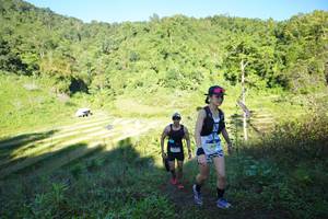 BIB: 
                            <button type="button" onclick="openModal(19084259)" class="btn btn-primary btn-sm float-right btn-popup" data-toggle="modal" data-target=".modal-high-quality">
                        <i class="fas fa-shopping-cart"></i> Add to Cart
                    </button>
                                            <button type="button" onclick="isThisMe(19084259, true)" class="btn btn-success btn-sm float-right btn-popup btn-isme hidden" data-toggle="tooltip" data-placement="bottom" title="นี่คือรูปของคุณใช่ไหม คลิกที่นี่เพื่อเอาเข้าอัลบั้ม">
                        <i class="fas fa-plus"></i> Add to album
                    </button>
                    <button type="button" onclick="isThisMe(19084259, false)" class="btn btn-warning btn-sm float-right btn-popup btn-isnotme hidden">
                        <i class="fas fa-ban"></i> Remove from album
                    </button>