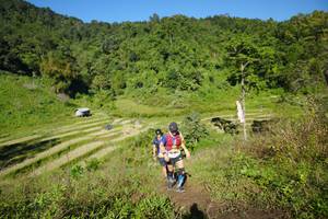 BIB: 
                            <button type="button" onclick="openModal(19105964)" class="btn btn-primary btn-sm float-right btn-popup" data-toggle="modal" data-target=".modal-high-quality">
                        <i class="fas fa-shopping-cart"></i> Add to Cart
                    </button>
                                            <button type="button" onclick="isThisMe(19105964, true)" class="btn btn-success btn-sm float-right btn-popup btn-isme hidden" data-toggle="tooltip" data-placement="bottom" title="นี่คือรูปของคุณใช่ไหม คลิกที่นี่เพื่อเอาเข้าอัลบั้ม">
                        <i class="fas fa-plus"></i> Add to album
                    </button>
                    <button type="button" onclick="isThisMe(19105964, false)" class="btn btn-warning btn-sm float-right btn-popup btn-isnotme hidden">
                        <i class="fas fa-ban"></i> Remove from album
                    </button>