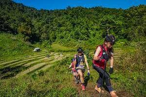 BIB: 
                            <button type="button" onclick="openModal(19344550)" class="btn btn-primary btn-sm float-right btn-popup" data-toggle="modal" data-target=".modal-high-quality">
                        <i class="fas fa-shopping-cart"></i> Add to Cart
                    </button>
                                            <button type="button" onclick="isThisMe(19344550, true)" class="btn btn-success btn-sm float-right btn-popup btn-isme hidden" data-toggle="tooltip" data-placement="bottom" title="นี่คือรูปของคุณใช่ไหม คลิกที่นี่เพื่อเอาเข้าอัลบั้ม">
                        <i class="fas fa-plus"></i> Add to album
                    </button>
                    <button type="button" onclick="isThisMe(19344550, false)" class="btn btn-warning btn-sm float-right btn-popup btn-isnotme hidden">
                        <i class="fas fa-ban"></i> Remove from album
                    </button>