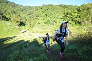 BIB: 
                            <button type="button" onclick="openModal(19084226)" class="btn btn-primary btn-sm float-right btn-popup" data-toggle="modal" data-target=".modal-high-quality">
                        <i class="fas fa-shopping-cart"></i> Add to Cart
                    </button>
                                            <button type="button" onclick="isThisMe(19084226, true)" class="btn btn-success btn-sm float-right btn-popup btn-isme hidden" data-toggle="tooltip" data-placement="bottom" title="นี่คือรูปของคุณใช่ไหม คลิกที่นี่เพื่อเอาเข้าอัลบั้ม">
                        <i class="fas fa-plus"></i> Add to album
                    </button>
                    <button type="button" onclick="isThisMe(19084226, false)" class="btn btn-warning btn-sm float-right btn-popup btn-isnotme hidden">
                        <i class="fas fa-ban"></i> Remove from album
                    </button>