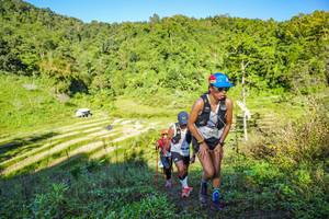 BIB: 
                            <button type="button" onclick="openModal(19349709)" class="btn btn-primary btn-sm float-right btn-popup" data-toggle="modal" data-target=".modal-high-quality">
                        <i class="fas fa-shopping-cart"></i> Add to Cart
                    </button>
                                            <button type="button" onclick="isThisMe(19349709, true)" class="btn btn-success btn-sm float-right btn-popup btn-isme hidden" data-toggle="tooltip" data-placement="bottom" title="นี่คือรูปของคุณใช่ไหม คลิกที่นี่เพื่อเอาเข้าอัลบั้ม">
                        <i class="fas fa-plus"></i> Add to album
                    </button>
                    <button type="button" onclick="isThisMe(19349709, false)" class="btn btn-warning btn-sm float-right btn-popup btn-isnotme hidden">
                        <i class="fas fa-ban"></i> Remove from album
                    </button>