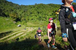 BIB: 
                            <button type="button" onclick="openModal(19097715)" class="btn btn-primary btn-sm float-right btn-popup" data-toggle="modal" data-target=".modal-high-quality">
                        <i class="fas fa-shopping-cart"></i> Add to Cart
                    </button>
                                            <button type="button" onclick="isThisMe(19097715, true)" class="btn btn-success btn-sm float-right btn-popup btn-isme hidden" data-toggle="tooltip" data-placement="bottom" title="นี่คือรูปของคุณใช่ไหม คลิกที่นี่เพื่อเอาเข้าอัลบั้ม">
                        <i class="fas fa-plus"></i> Add to album
                    </button>
                    <button type="button" onclick="isThisMe(19097715, false)" class="btn btn-warning btn-sm float-right btn-popup btn-isnotme hidden">
                        <i class="fas fa-ban"></i> Remove from album
                    </button>