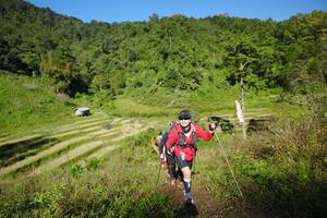 BIB: 
                            <button type="button" onclick="openModal(19102686)" class="btn btn-primary btn-sm float-right btn-popup" data-toggle="modal" data-target=".modal-high-quality">
                        <i class="fas fa-shopping-cart"></i> Add to Cart
                    </button>
                                            <button type="button" onclick="isThisMe(19102686, true)" class="btn btn-success btn-sm float-right btn-popup btn-isme hidden" data-toggle="tooltip" data-placement="bottom" title="นี่คือรูปของคุณใช่ไหม คลิกที่นี่เพื่อเอาเข้าอัลบั้ม">
                        <i class="fas fa-plus"></i> Add to album
                    </button>
                    <button type="button" onclick="isThisMe(19102686, false)" class="btn btn-warning btn-sm float-right btn-popup btn-isnotme hidden">
                        <i class="fas fa-ban"></i> Remove from album
                    </button>