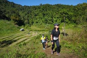 BIB: 1311
                            <button type="button" onclick="openModal(19097274)" class="btn btn-primary btn-sm float-right btn-popup" data-toggle="modal" data-target=".modal-high-quality">
                        <i class="fas fa-shopping-cart"></i> Add to Cart
                    </button>
                                            <button type="button" onclick="isThisMe(19097274, true)" class="btn btn-success btn-sm float-right btn-popup btn-isme hidden" data-toggle="tooltip" data-placement="bottom" title="นี่คือรูปของคุณใช่ไหม คลิกที่นี่เพื่อเอาเข้าอัลบั้ม">
                        <i class="fas fa-plus"></i> Add to album
                    </button>
                    <button type="button" onclick="isThisMe(19097274, false)" class="btn btn-warning btn-sm float-right btn-popup btn-isnotme hidden">
                        <i class="fas fa-ban"></i> Remove from album
                    </button>