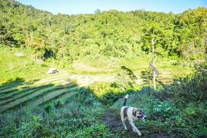 BIB: 
                            <button type="button" onclick="openModal(19348626)" class="btn btn-primary btn-sm float-right btn-popup" data-toggle="modal" data-target=".modal-high-quality">
                        <i class="fas fa-shopping-cart"></i> Add to Cart
                    </button>
                                            <button type="button" onclick="isThisMe(19348626, true)" class="btn btn-success btn-sm float-right btn-popup btn-isme hidden" data-toggle="tooltip" data-placement="bottom" title="นี่คือรูปของคุณใช่ไหม คลิกที่นี่เพื่อเอาเข้าอัลบั้ม">
                        <i class="fas fa-plus"></i> Add to album
                    </button>
                    <button type="button" onclick="isThisMe(19348626, false)" class="btn btn-warning btn-sm float-right btn-popup btn-isnotme hidden">
                        <i class="fas fa-ban"></i> Remove from album
                    </button>