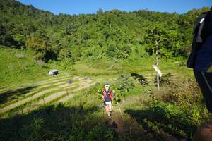 BIB: 
                            <button type="button" onclick="openModal(19093196)" class="btn btn-primary btn-sm float-right btn-popup" data-toggle="modal" data-target=".modal-high-quality">
                        <i class="fas fa-shopping-cart"></i> Add to Cart
                    </button>
                                            <button type="button" onclick="isThisMe(19093196, true)" class="btn btn-success btn-sm float-right btn-popup btn-isme hidden" data-toggle="tooltip" data-placement="bottom" title="นี่คือรูปของคุณใช่ไหม คลิกที่นี่เพื่อเอาเข้าอัลบั้ม">
                        <i class="fas fa-plus"></i> Add to album
                    </button>
                    <button type="button" onclick="isThisMe(19093196, false)" class="btn btn-warning btn-sm float-right btn-popup btn-isnotme hidden">
                        <i class="fas fa-ban"></i> Remove from album
                    </button>