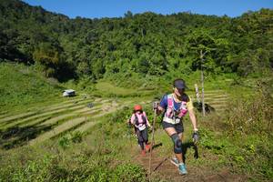 BIB: 
                            <button type="button" onclick="openModal(19097216)" class="btn btn-primary btn-sm float-right btn-popup" data-toggle="modal" data-target=".modal-high-quality">
                        <i class="fas fa-shopping-cart"></i> Add to Cart
                    </button>
                                            <button type="button" onclick="isThisMe(19097216, true)" class="btn btn-success btn-sm float-right btn-popup btn-isme hidden" data-toggle="tooltip" data-placement="bottom" title="นี่คือรูปของคุณใช่ไหม คลิกที่นี่เพื่อเอาเข้าอัลบั้ม">
                        <i class="fas fa-plus"></i> Add to album
                    </button>
                    <button type="button" onclick="isThisMe(19097216, false)" class="btn btn-warning btn-sm float-right btn-popup btn-isnotme hidden">
                        <i class="fas fa-ban"></i> Remove from album
                    </button>