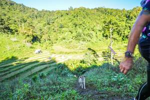 BIB: 
                            <button type="button" onclick="openModal(19348621)" class="btn btn-primary btn-sm float-right btn-popup" data-toggle="modal" data-target=".modal-high-quality">
                        <i class="fas fa-shopping-cart"></i> Add to Cart
                    </button>
                                            <button type="button" onclick="isThisMe(19348621, true)" class="btn btn-success btn-sm float-right btn-popup btn-isme hidden" data-toggle="tooltip" data-placement="bottom" title="นี่คือรูปของคุณใช่ไหม คลิกที่นี่เพื่อเอาเข้าอัลบั้ม">
                        <i class="fas fa-plus"></i> Add to album
                    </button>
                    <button type="button" onclick="isThisMe(19348621, false)" class="btn btn-warning btn-sm float-right btn-popup btn-isnotme hidden">
                        <i class="fas fa-ban"></i> Remove from album
                    </button>