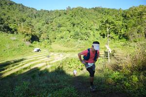 BIB: 
                            <button type="button" onclick="openModal(19087816)" class="btn btn-primary btn-sm float-right btn-popup" data-toggle="modal" data-target=".modal-high-quality">
                        <i class="fas fa-shopping-cart"></i> Add to Cart
                    </button>
                                            <button type="button" onclick="isThisMe(19087816, true)" class="btn btn-success btn-sm float-right btn-popup btn-isme hidden" data-toggle="tooltip" data-placement="bottom" title="นี่คือรูปของคุณใช่ไหม คลิกที่นี่เพื่อเอาเข้าอัลบั้ม">
                        <i class="fas fa-plus"></i> Add to album
                    </button>
                    <button type="button" onclick="isThisMe(19087816, false)" class="btn btn-warning btn-sm float-right btn-popup btn-isnotme hidden">
                        <i class="fas fa-ban"></i> Remove from album
                    </button>