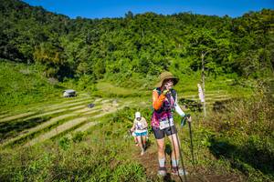 BIB: 124
                            <button type="button" onclick="openModal(19351815)" class="btn btn-primary btn-sm float-right btn-popup" data-toggle="modal" data-target=".modal-high-quality">
                        <i class="fas fa-shopping-cart"></i> Add to Cart
                    </button>
                                            <button type="button" onclick="isThisMe(19351815, true)" class="btn btn-success btn-sm float-right btn-popup btn-isme hidden" data-toggle="tooltip" data-placement="bottom" title="นี่คือรูปของคุณใช่ไหม คลิกที่นี่เพื่อเอาเข้าอัลบั้ม">
                        <i class="fas fa-plus"></i> Add to album
                    </button>
                    <button type="button" onclick="isThisMe(19351815, false)" class="btn btn-warning btn-sm float-right btn-popup btn-isnotme hidden">
                        <i class="fas fa-ban"></i> Remove from album
                    </button>