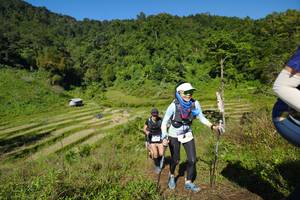 BIB: 
                            <button type="button" onclick="openModal(19086896)" class="btn btn-primary btn-sm float-right btn-popup" data-toggle="modal" data-target=".modal-high-quality">
                        <i class="fas fa-shopping-cart"></i> Add to Cart
                    </button>
                                            <button type="button" onclick="isThisMe(19086896, true)" class="btn btn-success btn-sm float-right btn-popup btn-isme hidden" data-toggle="tooltip" data-placement="bottom" title="นี่คือรูปของคุณใช่ไหม คลิกที่นี่เพื่อเอาเข้าอัลบั้ม">
                        <i class="fas fa-plus"></i> Add to album
                    </button>
                    <button type="button" onclick="isThisMe(19086896, false)" class="btn btn-warning btn-sm float-right btn-popup btn-isnotme hidden">
                        <i class="fas fa-ban"></i> Remove from album
                    </button>