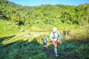 BIB: 
                            <button type="button" onclick="openModal(19349319)" class="btn btn-primary btn-sm float-right btn-popup" data-toggle="modal" data-target=".modal-high-quality">
                        <i class="fas fa-shopping-cart"></i> Add to Cart
                    </button>
                                            <button type="button" onclick="isThisMe(19349319, true)" class="btn btn-success btn-sm float-right btn-popup btn-isme hidden" data-toggle="tooltip" data-placement="bottom" title="นี่คือรูปของคุณใช่ไหม คลิกที่นี่เพื่อเอาเข้าอัลบั้ม">
                        <i class="fas fa-plus"></i> Add to album
                    </button>
                    <button type="button" onclick="isThisMe(19349319, false)" class="btn btn-warning btn-sm float-right btn-popup btn-isnotme hidden">
                        <i class="fas fa-ban"></i> Remove from album
                    </button>