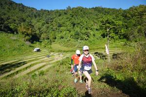 BIB: 1453
                            <button type="button" onclick="openModal(19107032)" class="btn btn-primary btn-sm float-right btn-popup" data-toggle="modal" data-target=".modal-high-quality">
                        <i class="fas fa-shopping-cart"></i> Add to Cart
                    </button>
                                            <button type="button" onclick="isThisMe(19107032, true)" class="btn btn-success btn-sm float-right btn-popup btn-isme hidden" data-toggle="tooltip" data-placement="bottom" title="นี่คือรูปของคุณใช่ไหม คลิกที่นี่เพื่อเอาเข้าอัลบั้ม">
                        <i class="fas fa-plus"></i> Add to album
                    </button>
                    <button type="button" onclick="isThisMe(19107032, false)" class="btn btn-warning btn-sm float-right btn-popup btn-isnotme hidden">
                        <i class="fas fa-ban"></i> Remove from album
                    </button>