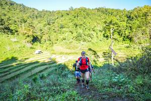 BIB: 
                            <button type="button" onclick="openModal(19348582)" class="btn btn-primary btn-sm float-right btn-popup" data-toggle="modal" data-target=".modal-high-quality">
                        <i class="fas fa-shopping-cart"></i> Add to Cart
                    </button>
                                            <button type="button" onclick="isThisMe(19348582, true)" class="btn btn-success btn-sm float-right btn-popup btn-isme hidden" data-toggle="tooltip" data-placement="bottom" title="นี่คือรูปของคุณใช่ไหม คลิกที่นี่เพื่อเอาเข้าอัลบั้ม">
                        <i class="fas fa-plus"></i> Add to album
                    </button>
                    <button type="button" onclick="isThisMe(19348582, false)" class="btn btn-warning btn-sm float-right btn-popup btn-isnotme hidden">
                        <i class="fas fa-ban"></i> Remove from album
                    </button>