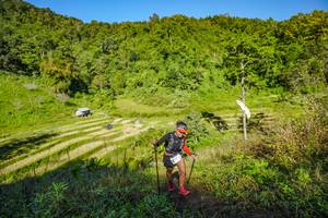 BIB: 
                            <button type="button" onclick="openModal(19350040)" class="btn btn-primary btn-sm float-right btn-popup" data-toggle="modal" data-target=".modal-high-quality">
                        <i class="fas fa-shopping-cart"></i> Add to Cart
                    </button>
                                            <button type="button" onclick="isThisMe(19350040, true)" class="btn btn-success btn-sm float-right btn-popup btn-isme hidden" data-toggle="tooltip" data-placement="bottom" title="นี่คือรูปของคุณใช่ไหม คลิกที่นี่เพื่อเอาเข้าอัลบั้ม">
                        <i class="fas fa-plus"></i> Add to album
                    </button>
                    <button type="button" onclick="isThisMe(19350040, false)" class="btn btn-warning btn-sm float-right btn-popup btn-isnotme hidden">
                        <i class="fas fa-ban"></i> Remove from album
                    </button>