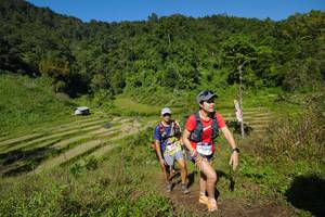 BIB: 13014
                            <button type="button" onclick="openModal(19093287)" class="btn btn-primary btn-sm float-right btn-popup" data-toggle="modal" data-target=".modal-high-quality">
                        <i class="fas fa-shopping-cart"></i> Add to Cart
                    </button>
                                            <button type="button" onclick="isThisMe(19093287, true)" class="btn btn-success btn-sm float-right btn-popup btn-isme hidden" data-toggle="tooltip" data-placement="bottom" title="นี่คือรูปของคุณใช่ไหม คลิกที่นี่เพื่อเอาเข้าอัลบั้ม">
                        <i class="fas fa-plus"></i> Add to album
                    </button>
                    <button type="button" onclick="isThisMe(19093287, false)" class="btn btn-warning btn-sm float-right btn-popup btn-isnotme hidden">
                        <i class="fas fa-ban"></i> Remove from album
                    </button>