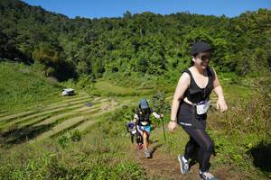 BIB: 505
                            <button type="button" onclick="openModal(19101676)" class="btn btn-primary btn-sm float-right btn-popup" data-toggle="modal" data-target=".modal-high-quality">
                        <i class="fas fa-shopping-cart"></i> Add to Cart
                    </button>
                                            <button type="button" onclick="isThisMe(19101676, true)" class="btn btn-success btn-sm float-right btn-popup btn-isme hidden" data-toggle="tooltip" data-placement="bottom" title="นี่คือรูปของคุณใช่ไหม คลิกที่นี่เพื่อเอาเข้าอัลบั้ม">
                        <i class="fas fa-plus"></i> Add to album
                    </button>
                    <button type="button" onclick="isThisMe(19101676, false)" class="btn btn-warning btn-sm float-right btn-popup btn-isnotme hidden">
                        <i class="fas fa-ban"></i> Remove from album
                    </button>