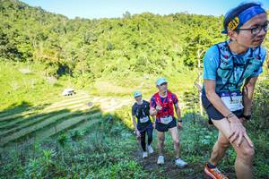 BIB: 2025
                            <button type="button" onclick="openModal(19348661)" class="btn btn-primary btn-sm float-right btn-popup" data-toggle="modal" data-target=".modal-high-quality">
                        <i class="fas fa-shopping-cart"></i> Add to Cart
                    </button>
                                            <button type="button" onclick="isThisMe(19348661, true)" class="btn btn-success btn-sm float-right btn-popup btn-isme hidden" data-toggle="tooltip" data-placement="bottom" title="นี่คือรูปของคุณใช่ไหม คลิกที่นี่เพื่อเอาเข้าอัลบั้ม">
                        <i class="fas fa-plus"></i> Add to album
                    </button>
                    <button type="button" onclick="isThisMe(19348661, false)" class="btn btn-warning btn-sm float-right btn-popup btn-isnotme hidden">
                        <i class="fas fa-ban"></i> Remove from album
                    </button>