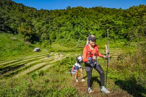 BIB: 
                            <button type="button" onclick="openModal(19344134)" class="btn btn-primary btn-sm float-right btn-popup" data-toggle="modal" data-target=".modal-high-quality">
                        <i class="fas fa-shopping-cart"></i> Add to Cart
                    </button>
                                            <button type="button" onclick="isThisMe(19344134, true)" class="btn btn-success btn-sm float-right btn-popup btn-isme hidden" data-toggle="tooltip" data-placement="bottom" title="นี่คือรูปของคุณใช่ไหม คลิกที่นี่เพื่อเอาเข้าอัลบั้ม">
                        <i class="fas fa-plus"></i> Add to album
                    </button>
                    <button type="button" onclick="isThisMe(19344134, false)" class="btn btn-warning btn-sm float-right btn-popup btn-isnotme hidden">
                        <i class="fas fa-ban"></i> Remove from album
                    </button>