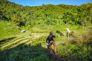 BIB: 
                            <button type="button" onclick="openModal(19349826)" class="btn btn-primary btn-sm float-right btn-popup" data-toggle="modal" data-target=".modal-high-quality">
                        <i class="fas fa-shopping-cart"></i> Add to Cart
                    </button>
                                            <button type="button" onclick="isThisMe(19349826, true)" class="btn btn-success btn-sm float-right btn-popup btn-isme hidden" data-toggle="tooltip" data-placement="bottom" title="นี่คือรูปของคุณใช่ไหม คลิกที่นี่เพื่อเอาเข้าอัลบั้ม">
                        <i class="fas fa-plus"></i> Add to album
                    </button>
                    <button type="button" onclick="isThisMe(19349826, false)" class="btn btn-warning btn-sm float-right btn-popup btn-isnotme hidden">
                        <i class="fas fa-ban"></i> Remove from album
                    </button>