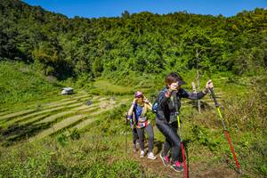 BIB: 
                            <button type="button" onclick="openModal(19345122)" class="btn btn-primary btn-sm float-right btn-popup" data-toggle="modal" data-target=".modal-high-quality">
                        <i class="fas fa-shopping-cart"></i> Add to Cart
                    </button>
                                            <button type="button" onclick="isThisMe(19345122, true)" class="btn btn-success btn-sm float-right btn-popup btn-isme hidden" data-toggle="tooltip" data-placement="bottom" title="นี่คือรูปของคุณใช่ไหม คลิกที่นี่เพื่อเอาเข้าอัลบั้ม">
                        <i class="fas fa-plus"></i> Add to album
                    </button>
                    <button type="button" onclick="isThisMe(19345122, false)" class="btn btn-warning btn-sm float-right btn-popup btn-isnotme hidden">
                        <i class="fas fa-ban"></i> Remove from album
                    </button>