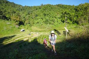 BIB: 
                            <button type="button" onclick="openModal(19085639)" class="btn btn-primary btn-sm float-right btn-popup" data-toggle="modal" data-target=".modal-high-quality">
                        <i class="fas fa-shopping-cart"></i> Add to Cart
                    </button>
                                            <button type="button" onclick="isThisMe(19085639, true)" class="btn btn-success btn-sm float-right btn-popup btn-isme hidden" data-toggle="tooltip" data-placement="bottom" title="นี่คือรูปของคุณใช่ไหม คลิกที่นี่เพื่อเอาเข้าอัลบั้ม">
                        <i class="fas fa-plus"></i> Add to album
                    </button>
                    <button type="button" onclick="isThisMe(19085639, false)" class="btn btn-warning btn-sm float-right btn-popup btn-isnotme hidden">
                        <i class="fas fa-ban"></i> Remove from album
                    </button>