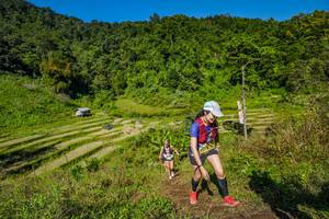 BIB: 
                            <button type="button" onclick="openModal(19344234)" class="btn btn-primary btn-sm float-right btn-popup" data-toggle="modal" data-target=".modal-high-quality">
                        <i class="fas fa-shopping-cart"></i> Add to Cart
                    </button>
                                            <button type="button" onclick="isThisMe(19344234, true)" class="btn btn-success btn-sm float-right btn-popup btn-isme hidden" data-toggle="tooltip" data-placement="bottom" title="นี่คือรูปของคุณใช่ไหม คลิกที่นี่เพื่อเอาเข้าอัลบั้ม">
                        <i class="fas fa-plus"></i> Add to album
                    </button>
                    <button type="button" onclick="isThisMe(19344234, false)" class="btn btn-warning btn-sm float-right btn-popup btn-isnotme hidden">
                        <i class="fas fa-ban"></i> Remove from album
                    </button>