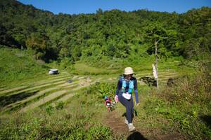 BIB: 
                            <button type="button" onclick="openModal(19082933)" class="btn btn-primary btn-sm float-right btn-popup" data-toggle="modal" data-target=".modal-high-quality">
                        <i class="fas fa-shopping-cart"></i> Add to Cart
                    </button>
                                            <button type="button" onclick="isThisMe(19082933, true)" class="btn btn-success btn-sm float-right btn-popup btn-isme hidden" data-toggle="tooltip" data-placement="bottom" title="นี่คือรูปของคุณใช่ไหม คลิกที่นี่เพื่อเอาเข้าอัลบั้ม">
                        <i class="fas fa-plus"></i> Add to album
                    </button>
                    <button type="button" onclick="isThisMe(19082933, false)" class="btn btn-warning btn-sm float-right btn-popup btn-isnotme hidden">
                        <i class="fas fa-ban"></i> Remove from album
                    </button>