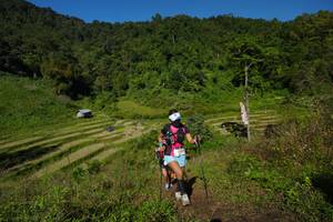 BIB: 
                            <button type="button" onclick="openModal(19083840)" class="btn btn-primary btn-sm float-right btn-popup" data-toggle="modal" data-target=".modal-high-quality">
                        <i class="fas fa-shopping-cart"></i> Add to Cart
                    </button>
                                            <button type="button" onclick="isThisMe(19083840, true)" class="btn btn-success btn-sm float-right btn-popup btn-isme hidden" data-toggle="tooltip" data-placement="bottom" title="นี่คือรูปของคุณใช่ไหม คลิกที่นี่เพื่อเอาเข้าอัลบั้ม">
                        <i class="fas fa-plus"></i> Add to album
                    </button>
                    <button type="button" onclick="isThisMe(19083840, false)" class="btn btn-warning btn-sm float-right btn-popup btn-isnotme hidden">
                        <i class="fas fa-ban"></i> Remove from album
                    </button>