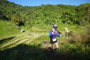 BIB: 
                            <button type="button" onclick="openModal(19091695)" class="btn btn-primary btn-sm float-right btn-popup" data-toggle="modal" data-target=".modal-high-quality">
                        <i class="fas fa-shopping-cart"></i> Add to Cart
                    </button>
                                            <button type="button" onclick="isThisMe(19091695, true)" class="btn btn-success btn-sm float-right btn-popup btn-isme hidden" data-toggle="tooltip" data-placement="bottom" title="นี่คือรูปของคุณใช่ไหม คลิกที่นี่เพื่อเอาเข้าอัลบั้ม">
                        <i class="fas fa-plus"></i> Add to album
                    </button>
                    <button type="button" onclick="isThisMe(19091695, false)" class="btn btn-warning btn-sm float-right btn-popup btn-isnotme hidden">
                        <i class="fas fa-ban"></i> Remove from album
                    </button>