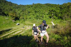 BIB: 
                            <button type="button" onclick="openModal(19093504)" class="btn btn-primary btn-sm float-right btn-popup" data-toggle="modal" data-target=".modal-high-quality">
                        <i class="fas fa-shopping-cart"></i> Add to Cart
                    </button>
                                            <button type="button" onclick="isThisMe(19093504, true)" class="btn btn-success btn-sm float-right btn-popup btn-isme hidden" data-toggle="tooltip" data-placement="bottom" title="นี่คือรูปของคุณใช่ไหม คลิกที่นี่เพื่อเอาเข้าอัลบั้ม">
                        <i class="fas fa-plus"></i> Add to album
                    </button>
                    <button type="button" onclick="isThisMe(19093504, false)" class="btn btn-warning btn-sm float-right btn-popup btn-isnotme hidden">
                        <i class="fas fa-ban"></i> Remove from album
                    </button>