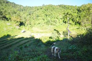 BIB: 
                            <button type="button" onclick="openModal(19079457)" class="btn btn-primary btn-sm float-right btn-popup" data-toggle="modal" data-target=".modal-high-quality">
                        <i class="fas fa-shopping-cart"></i> Add to Cart
                    </button>
                                            <button type="button" onclick="isThisMe(19079457, true)" class="btn btn-success btn-sm float-right btn-popup btn-isme hidden" data-toggle="tooltip" data-placement="bottom" title="นี่คือรูปของคุณใช่ไหม คลิกที่นี่เพื่อเอาเข้าอัลบั้ม">
                        <i class="fas fa-plus"></i> Add to album
                    </button>
                    <button type="button" onclick="isThisMe(19079457, false)" class="btn btn-warning btn-sm float-right btn-popup btn-isnotme hidden">
                        <i class="fas fa-ban"></i> Remove from album
                    </button>