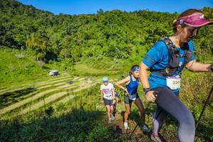 BIB: 220
                            <button type="button" onclick="openModal(19350529)" class="btn btn-primary btn-sm float-right btn-popup" data-toggle="modal" data-target=".modal-high-quality">
                        <i class="fas fa-shopping-cart"></i> Add to Cart
                    </button>
                                            <button type="button" onclick="isThisMe(19350529, true)" class="btn btn-success btn-sm float-right btn-popup btn-isme hidden" data-toggle="tooltip" data-placement="bottom" title="นี่คือรูปของคุณใช่ไหม คลิกที่นี่เพื่อเอาเข้าอัลบั้ม">
                        <i class="fas fa-plus"></i> Add to album
                    </button>
                    <button type="button" onclick="isThisMe(19350529, false)" class="btn btn-warning btn-sm float-right btn-popup btn-isnotme hidden">
                        <i class="fas fa-ban"></i> Remove from album
                    </button>