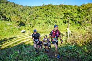 BIB: 2904
                            <button type="button" onclick="openModal(19349647)" class="btn btn-primary btn-sm float-right btn-popup" data-toggle="modal" data-target=".modal-high-quality">
                        <i class="fas fa-shopping-cart"></i> Add to Cart
                    </button>
                                            <button type="button" onclick="isThisMe(19349647, true)" class="btn btn-success btn-sm float-right btn-popup btn-isme hidden" data-toggle="tooltip" data-placement="bottom" title="นี่คือรูปของคุณใช่ไหม คลิกที่นี่เพื่อเอาเข้าอัลบั้ม">
                        <i class="fas fa-plus"></i> Add to album
                    </button>
                    <button type="button" onclick="isThisMe(19349647, false)" class="btn btn-warning btn-sm float-right btn-popup btn-isnotme hidden">
                        <i class="fas fa-ban"></i> Remove from album
                    </button>