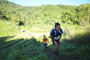 BIB: 
                            <button type="button" onclick="openModal(19082747)" class="btn btn-primary btn-sm float-right btn-popup" data-toggle="modal" data-target=".modal-high-quality">
                        <i class="fas fa-shopping-cart"></i> Add to Cart
                    </button>
                                            <button type="button" onclick="isThisMe(19082747, true)" class="btn btn-success btn-sm float-right btn-popup btn-isme hidden" data-toggle="tooltip" data-placement="bottom" title="นี่คือรูปของคุณใช่ไหม คลิกที่นี่เพื่อเอาเข้าอัลบั้ม">
                        <i class="fas fa-plus"></i> Add to album
                    </button>
                    <button type="button" onclick="isThisMe(19082747, false)" class="btn btn-warning btn-sm float-right btn-popup btn-isnotme hidden">
                        <i class="fas fa-ban"></i> Remove from album
                    </button>