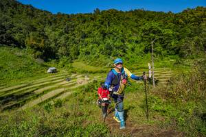 BIB: 
                            <button type="button" onclick="openModal(19344385)" class="btn btn-primary btn-sm float-right btn-popup" data-toggle="modal" data-target=".modal-high-quality">
                        <i class="fas fa-shopping-cart"></i> Add to Cart
                    </button>
                                            <button type="button" onclick="isThisMe(19344385, true)" class="btn btn-success btn-sm float-right btn-popup btn-isme hidden" data-toggle="tooltip" data-placement="bottom" title="นี่คือรูปของคุณใช่ไหม คลิกที่นี่เพื่อเอาเข้าอัลบั้ม">
                        <i class="fas fa-plus"></i> Add to album
                    </button>
                    <button type="button" onclick="isThisMe(19344385, false)" class="btn btn-warning btn-sm float-right btn-popup btn-isnotme hidden">
                        <i class="fas fa-ban"></i> Remove from album
                    </button>