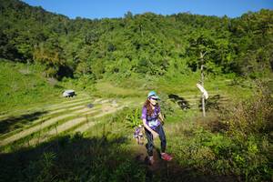 BIB: 
                            <button type="button" onclick="openModal(19092989)" class="btn btn-primary btn-sm float-right btn-popup" data-toggle="modal" data-target=".modal-high-quality">
                        <i class="fas fa-shopping-cart"></i> Add to Cart
                    </button>
                                            <button type="button" onclick="isThisMe(19092989, true)" class="btn btn-success btn-sm float-right btn-popup btn-isme hidden" data-toggle="tooltip" data-placement="bottom" title="นี่คือรูปของคุณใช่ไหม คลิกที่นี่เพื่อเอาเข้าอัลบั้ม">
                        <i class="fas fa-plus"></i> Add to album
                    </button>
                    <button type="button" onclick="isThisMe(19092989, false)" class="btn btn-warning btn-sm float-right btn-popup btn-isnotme hidden">
                        <i class="fas fa-ban"></i> Remove from album
                    </button>