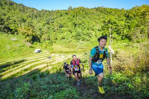 BIB: 
                            <button type="button" onclick="openModal(19349644)" class="btn btn-primary btn-sm float-right btn-popup" data-toggle="modal" data-target=".modal-high-quality">
                        <i class="fas fa-shopping-cart"></i> Add to Cart
                    </button>
                                            <button type="button" onclick="isThisMe(19349644, true)" class="btn btn-success btn-sm float-right btn-popup btn-isme hidden" data-toggle="tooltip" data-placement="bottom" title="นี่คือรูปของคุณใช่ไหม คลิกที่นี่เพื่อเอาเข้าอัลบั้ม">
                        <i class="fas fa-plus"></i> Add to album
                    </button>
                    <button type="button" onclick="isThisMe(19349644, false)" class="btn btn-warning btn-sm float-right btn-popup btn-isnotme hidden">
                        <i class="fas fa-ban"></i> Remove from album
                    </button>