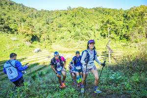 BIB: 
                            <button type="button" onclick="openModal(19348986)" class="btn btn-primary btn-sm float-right btn-popup" data-toggle="modal" data-target=".modal-high-quality">
                        <i class="fas fa-shopping-cart"></i> Add to Cart
                    </button>
                                            <button type="button" onclick="isThisMe(19348986, true)" class="btn btn-success btn-sm float-right btn-popup btn-isme hidden" data-toggle="tooltip" data-placement="bottom" title="นี่คือรูปของคุณใช่ไหม คลิกที่นี่เพื่อเอาเข้าอัลบั้ม">
                        <i class="fas fa-plus"></i> Add to album
                    </button>
                    <button type="button" onclick="isThisMe(19348986, false)" class="btn btn-warning btn-sm float-right btn-popup btn-isnotme hidden">
                        <i class="fas fa-ban"></i> Remove from album
                    </button>