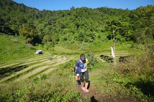 BIB: 
                            <button type="button" onclick="openModal(19072028)" class="btn btn-primary btn-sm float-right btn-popup" data-toggle="modal" data-target=".modal-high-quality">
                        <i class="fas fa-shopping-cart"></i> Add to Cart
                    </button>
                                            <button type="button" onclick="isThisMe(19072028, true)" class="btn btn-success btn-sm float-right btn-popup btn-isme hidden" data-toggle="tooltip" data-placement="bottom" title="นี่คือรูปของคุณใช่ไหม คลิกที่นี่เพื่อเอาเข้าอัลบั้ม">
                        <i class="fas fa-plus"></i> Add to album
                    </button>
                    <button type="button" onclick="isThisMe(19072028, false)" class="btn btn-warning btn-sm float-right btn-popup btn-isnotme hidden">
                        <i class="fas fa-ban"></i> Remove from album
                    </button>